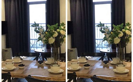 apartment for rent in binh thanh district BT105L3991 (13)